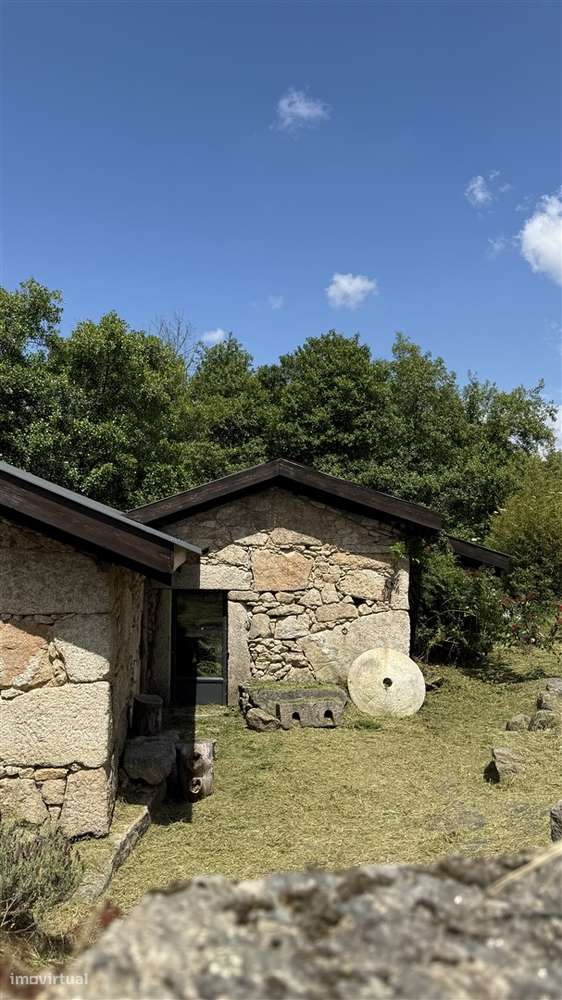 Moradia Isolada T3 Venda em Louriçal do Campo,Castelo Branco-13