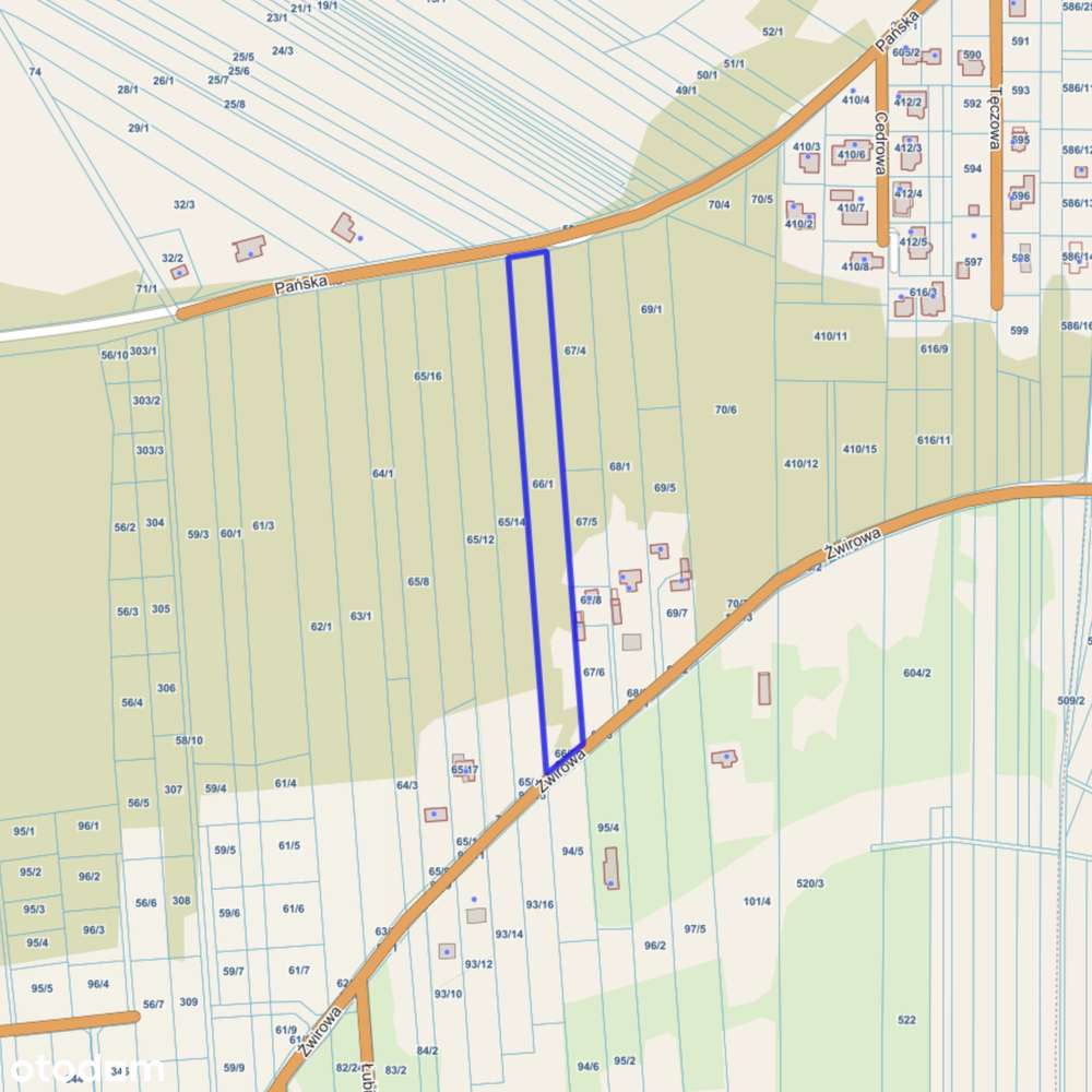 Wyjątkowa działka budowlana z lasem - Augustówek / Dębina - Pełny obrazek: 5/5
