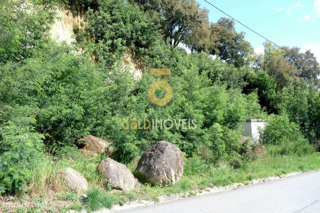 Lote de terreno em São Martinho de Sardoura, Castelo de Paiva - Grande imagem: 5/9