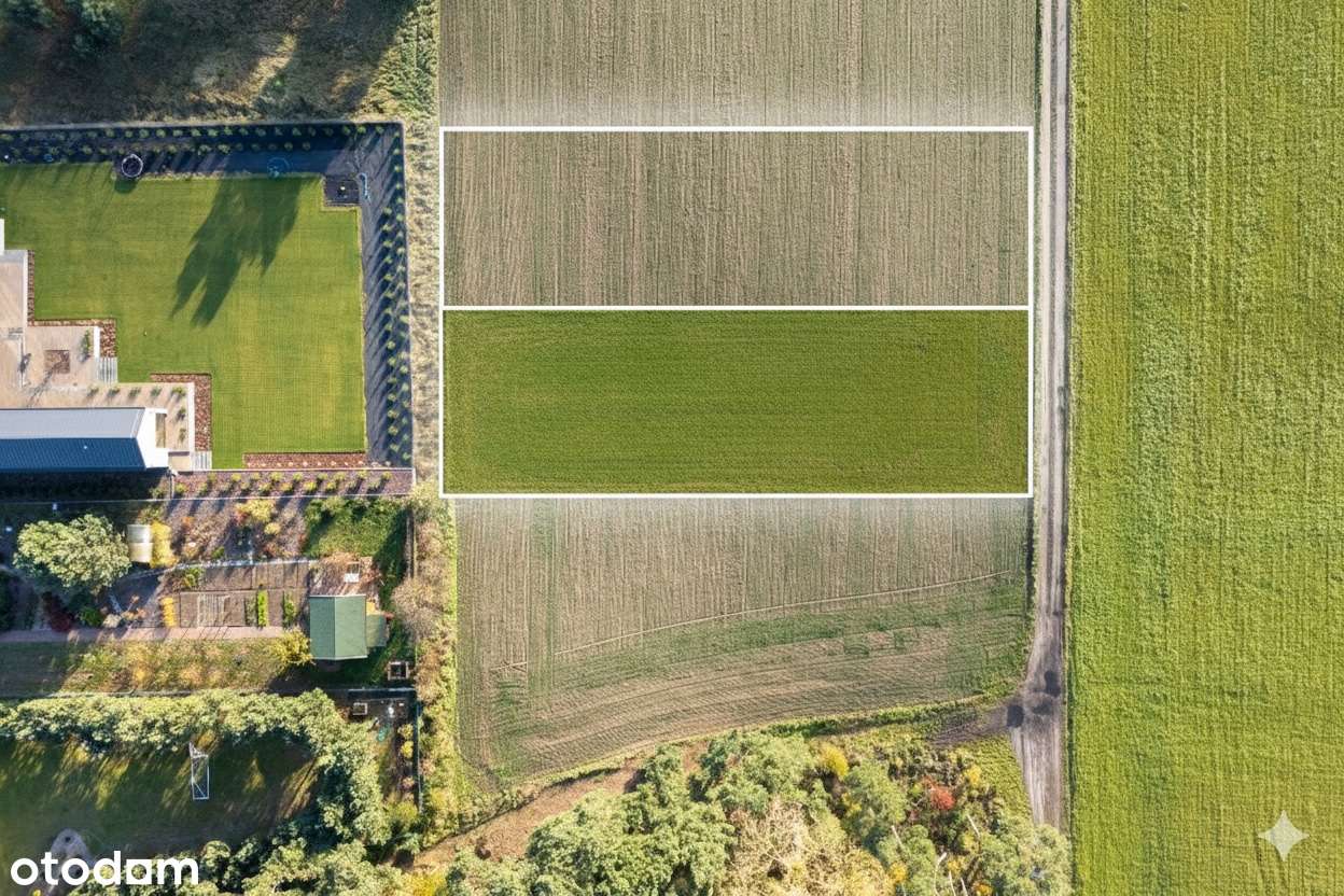 Działka 1665 m² – ul. Borecka, Poznań–Szczepankowo • WZ • przy lesie-2