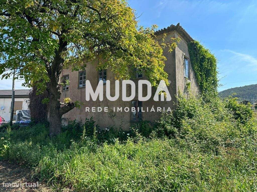 Ruína com terrenos, Branca, Albergaria-a-Velha - Grande imagem: 3/19