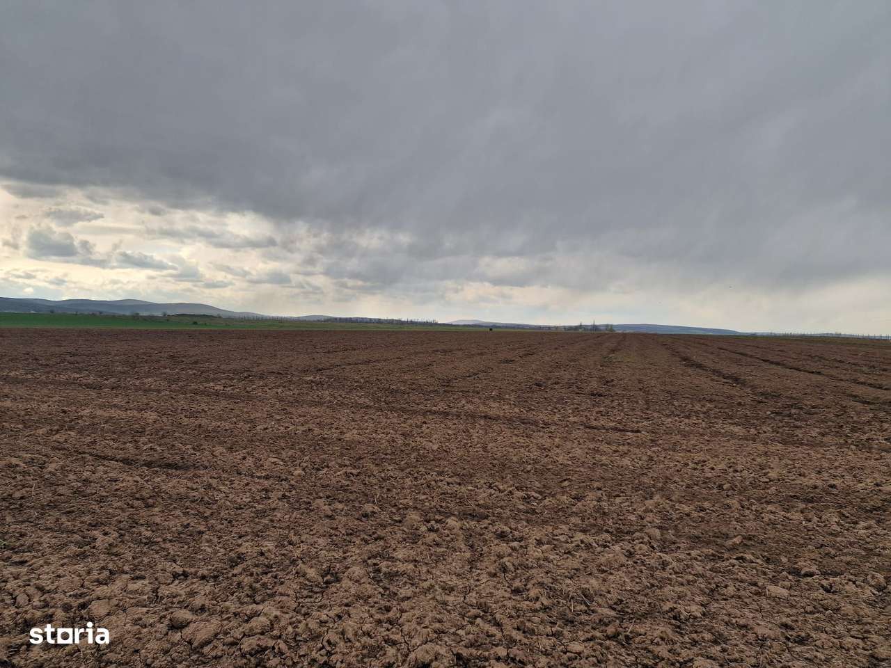 Teren 10,000mp Bacau / Strada Alexandru Safran-11