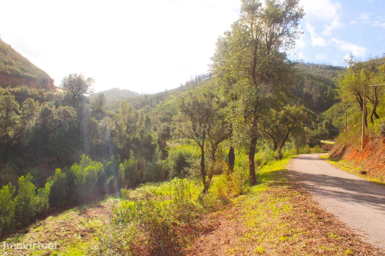 Terreno rústico JUNTO A RIBEIRA na Perna da Negra, a 15 minutos do cen - Grande imagem: 5/22
