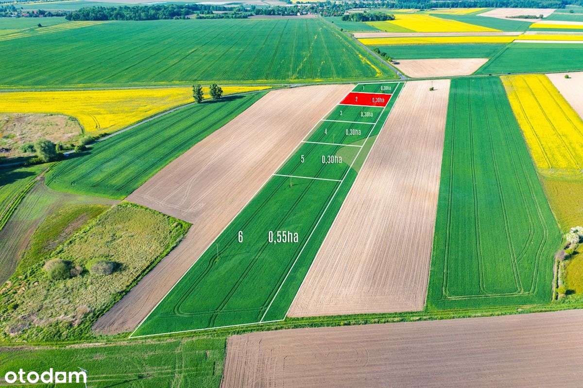 Działki siedliskowe w Bogdaszowicach - Pełny obrazek: 5/9