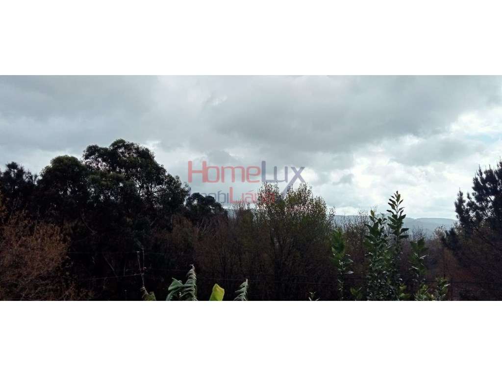 Terreno para construção -Pinheiro da Bemposta - Grande imagem: 2/7