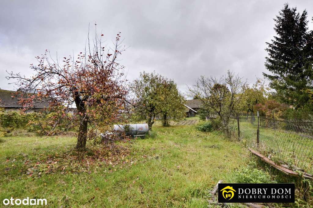 **Dom z bala w dogodnym położeniu ** - Pełny obrazek: 5/6