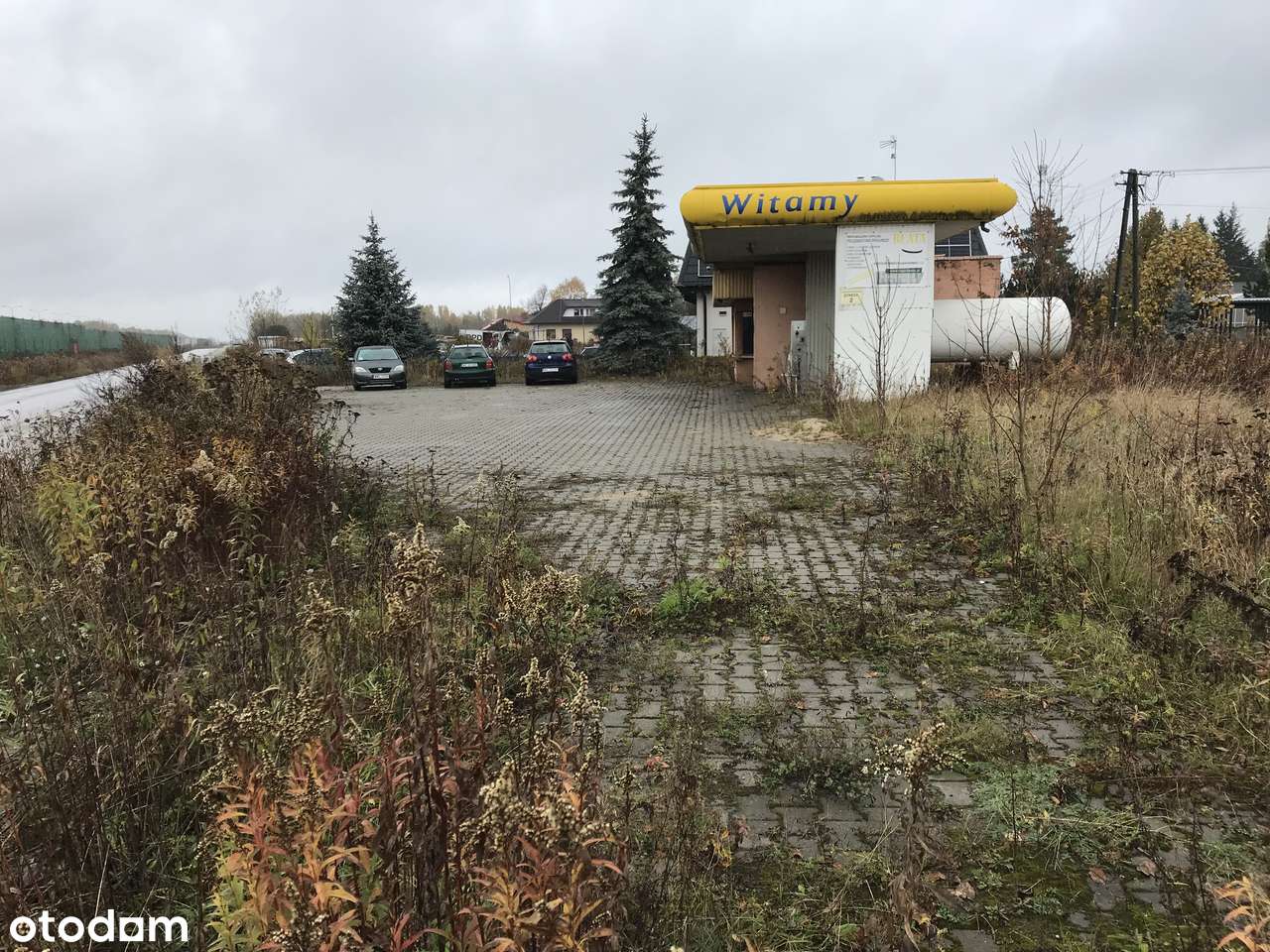 Działka 15.400 m2 - Pełny obrazek: 5/11