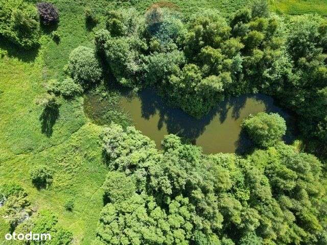 Piękna działka pod siedlisko przy Gdańsku - Pełny obrazek: 4/9