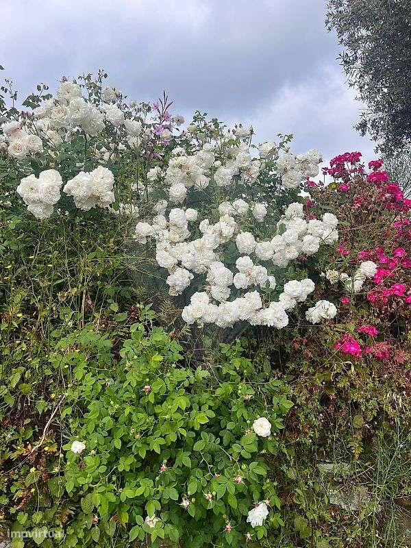 Moradia T2 para venda-12