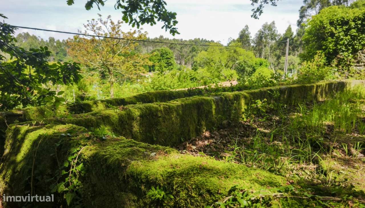 Venda de Quinta, Areosa, Viana do Castelo-16