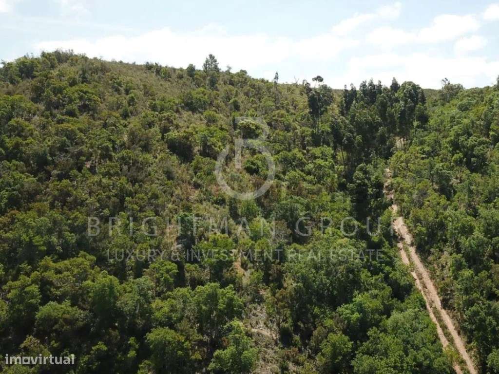Terreno com potencial de construção em Aljezur - Grande imagem: 4/17