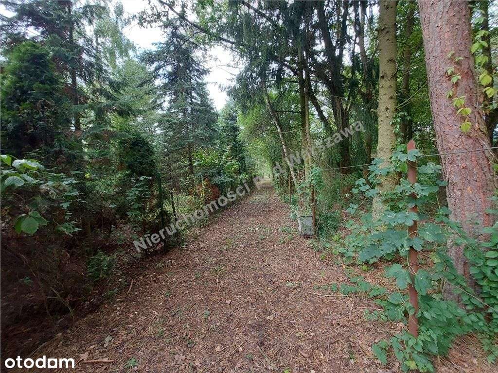 Cisza, Zieleń, Rzeka I Ona - Działka W Łosiu.-0