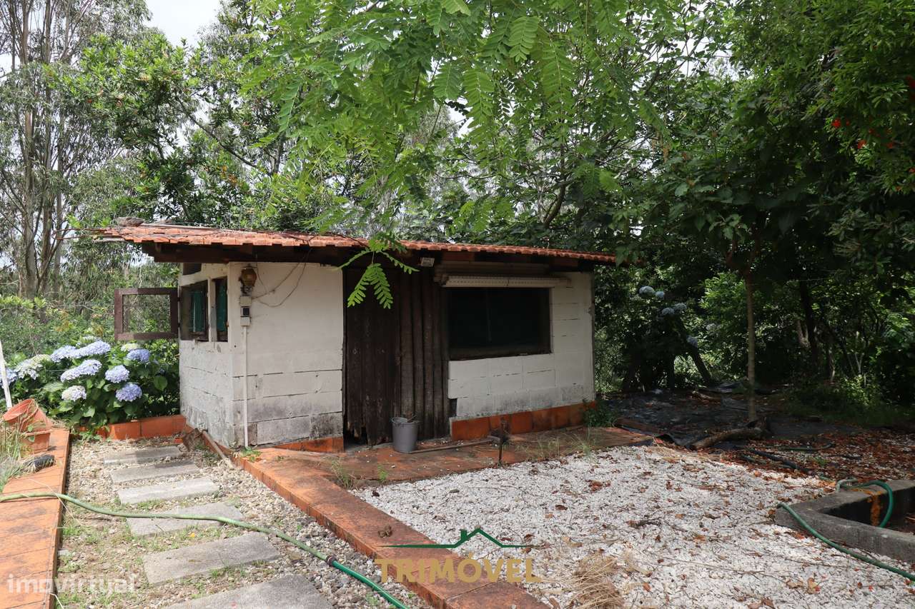 Moradia Isolada T3 Venda em Ossela,Oliveira de Azeméis-43