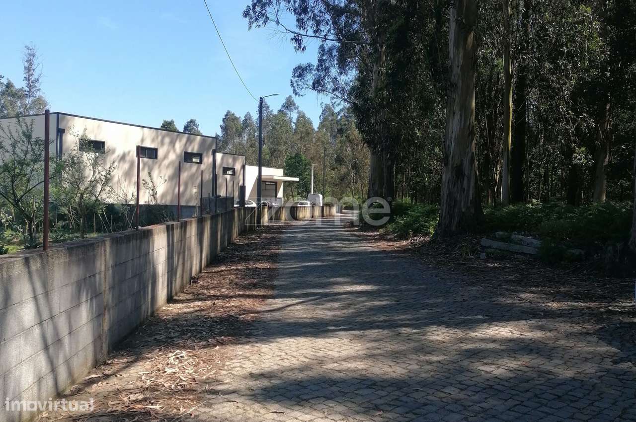 Terreno rústico com 5.670 M2 em Fradelos V.N. Famalicão - Grande imagem: 4/16