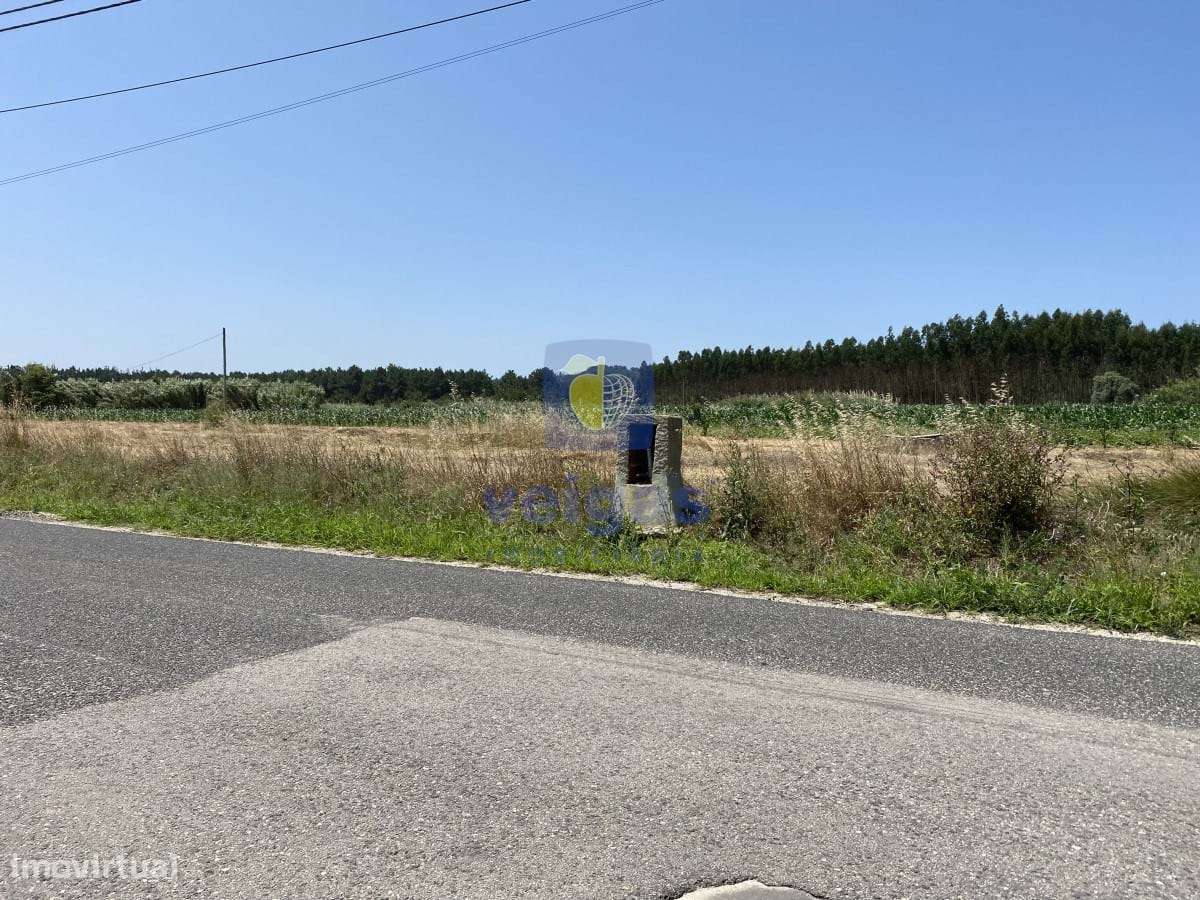 Terreno Serra do Bouro - Grande imagem: 5/19