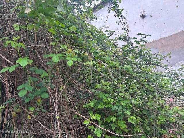 Prédio urbano sito em Benavente-8