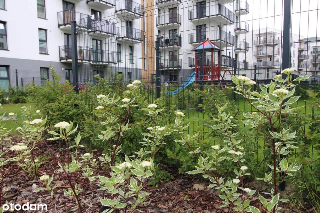 Nowy 3 pokojowy apartament 54m2 Chełmżyńska-9