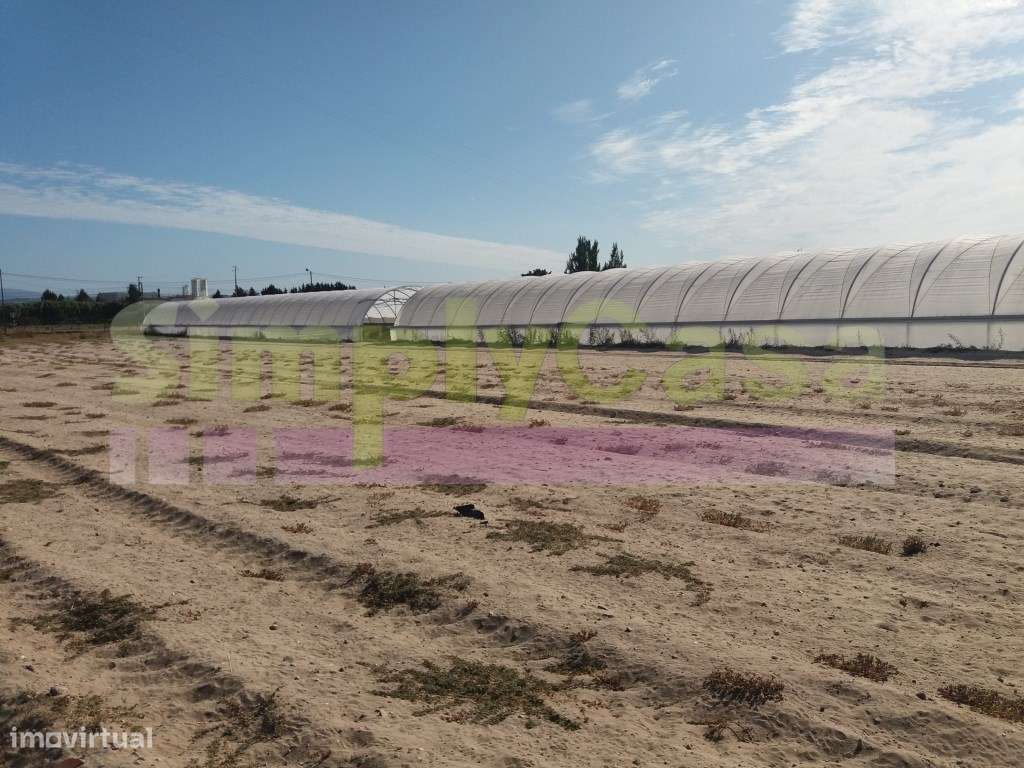Moradia Ruina junto BA6 Montijo inserida em terreno c/ 3 ha-3