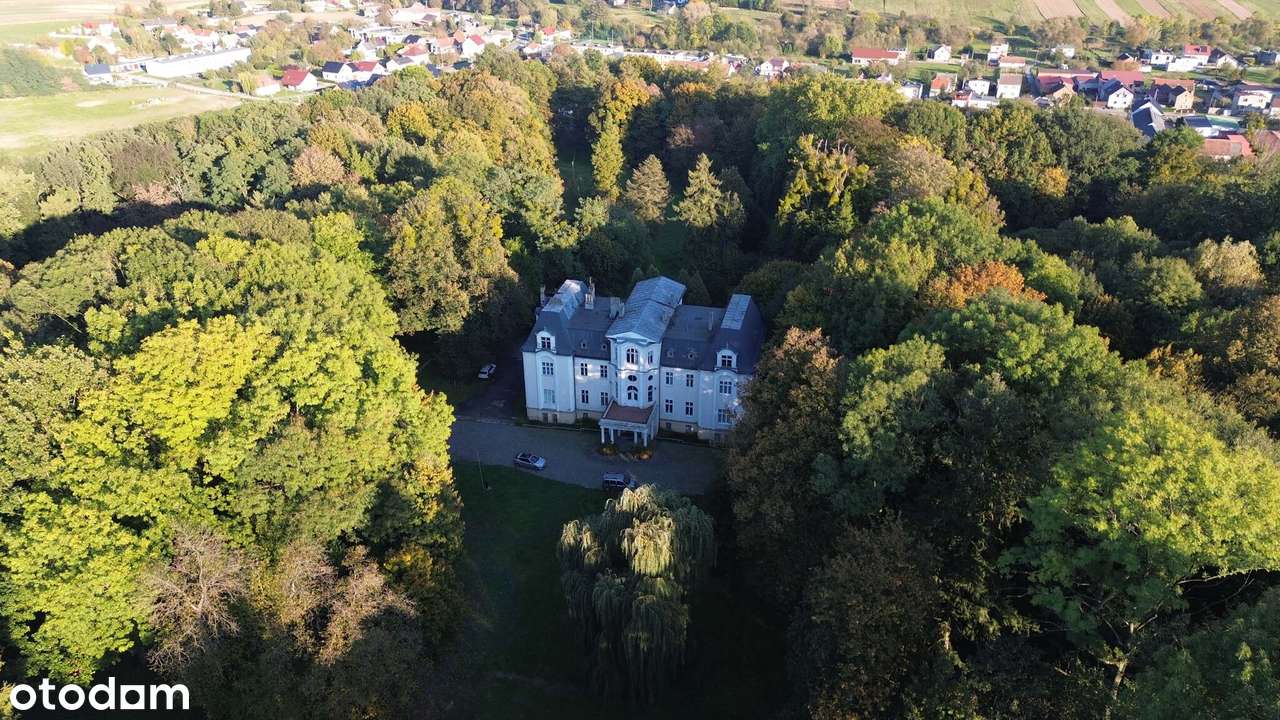 Pałac wraz z parkiem o powierzchni 9ha-3