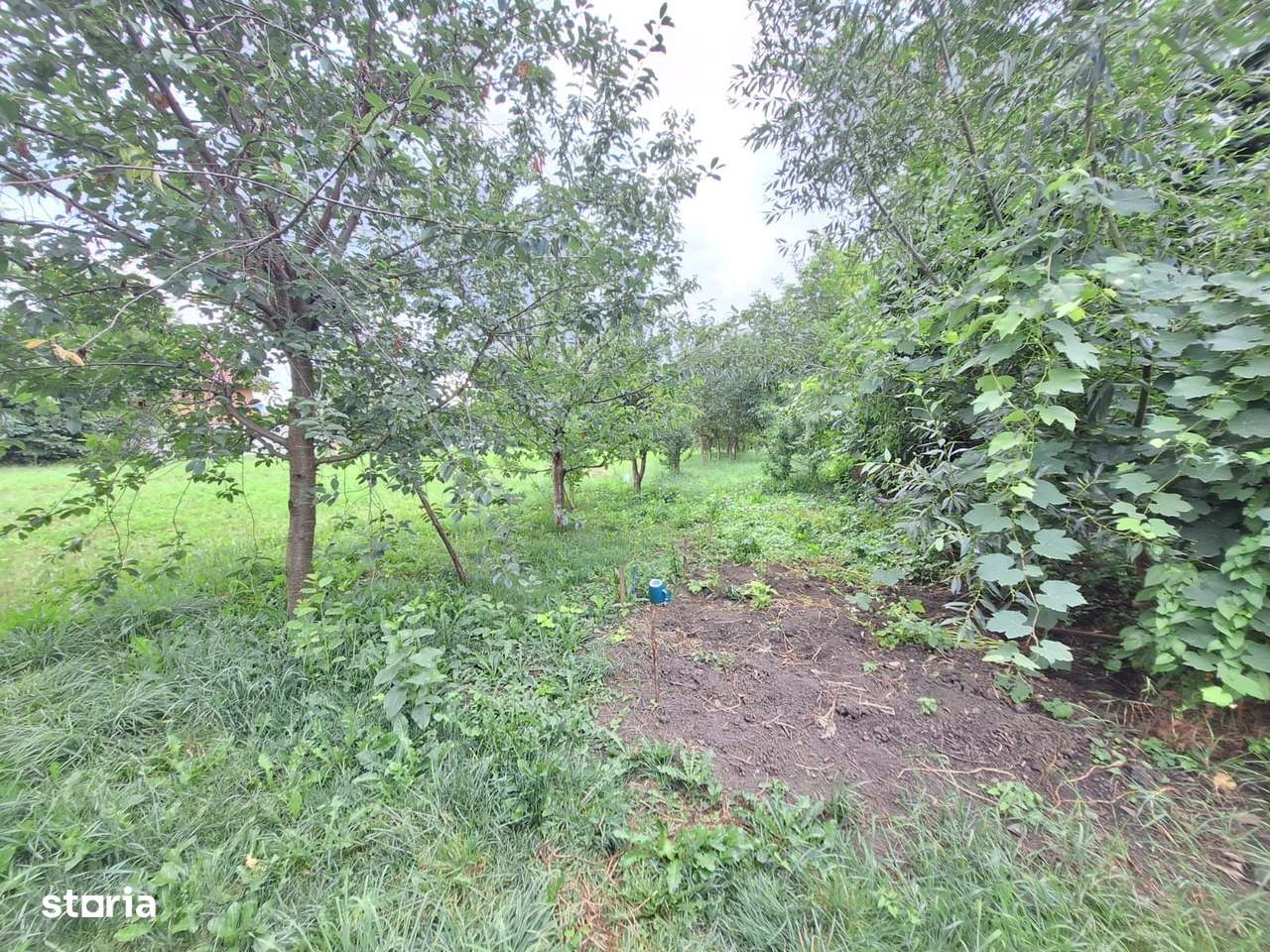 Casa individuala + teren generos 1120m,  asfalt, utilitati, Prejmer - Imagine principală: 4/20