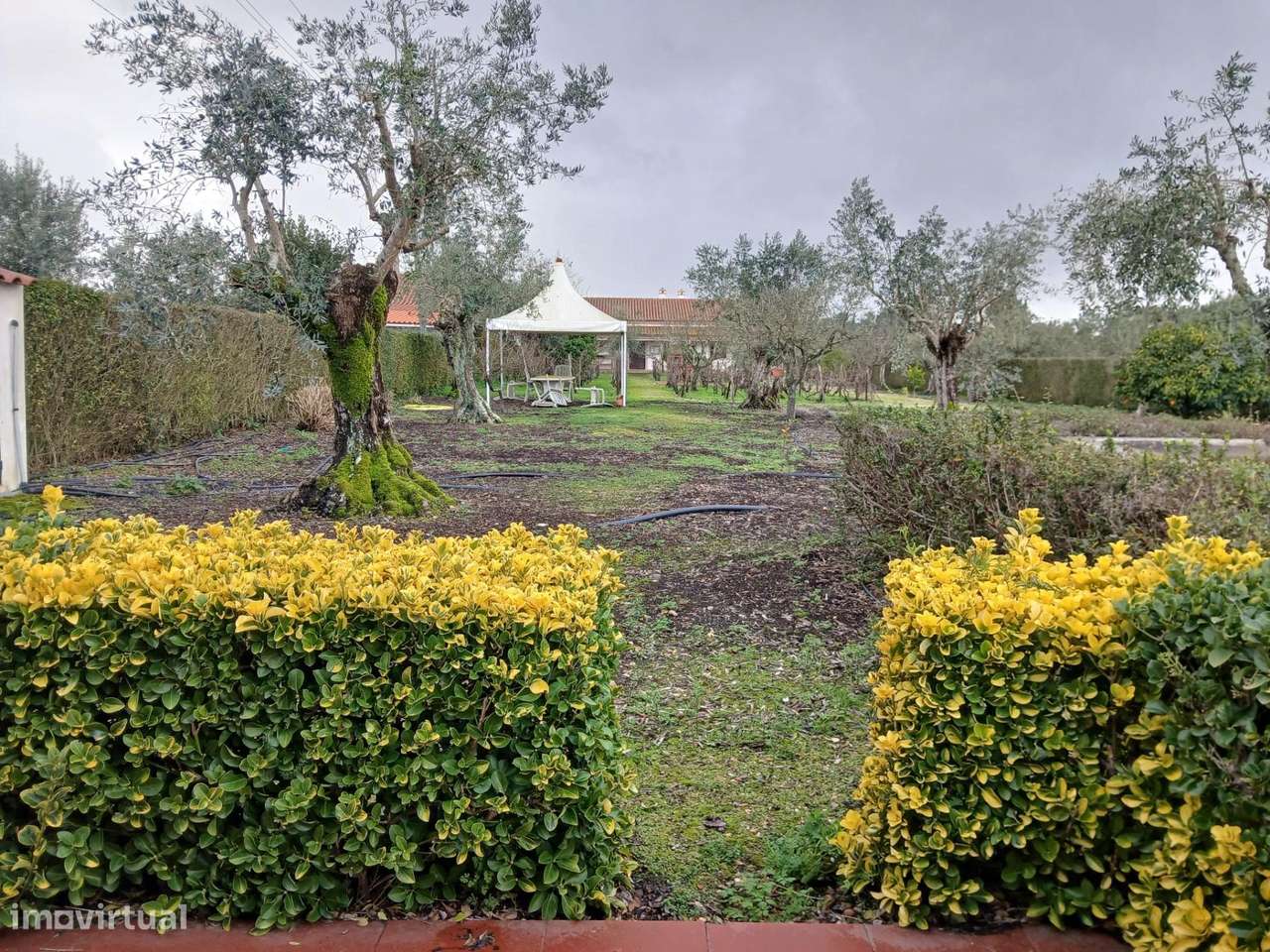 Moradia T4 com Piscina e Terreno Próxima de Constância-19