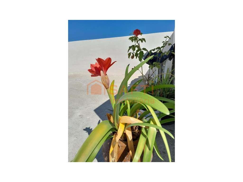 Moradia em pedra - Viseu - Grande imagem: 4/10