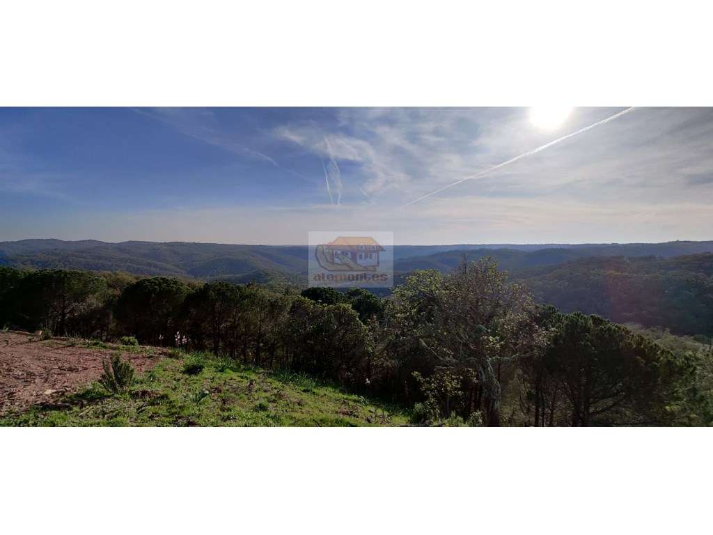 PROJECTO APROVADO e pronto a construir - entre Melides e Grândola - Grande imagem: 4/8