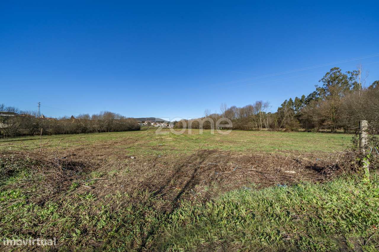 Terreno - Agrícola - Grande imagem: 5/16