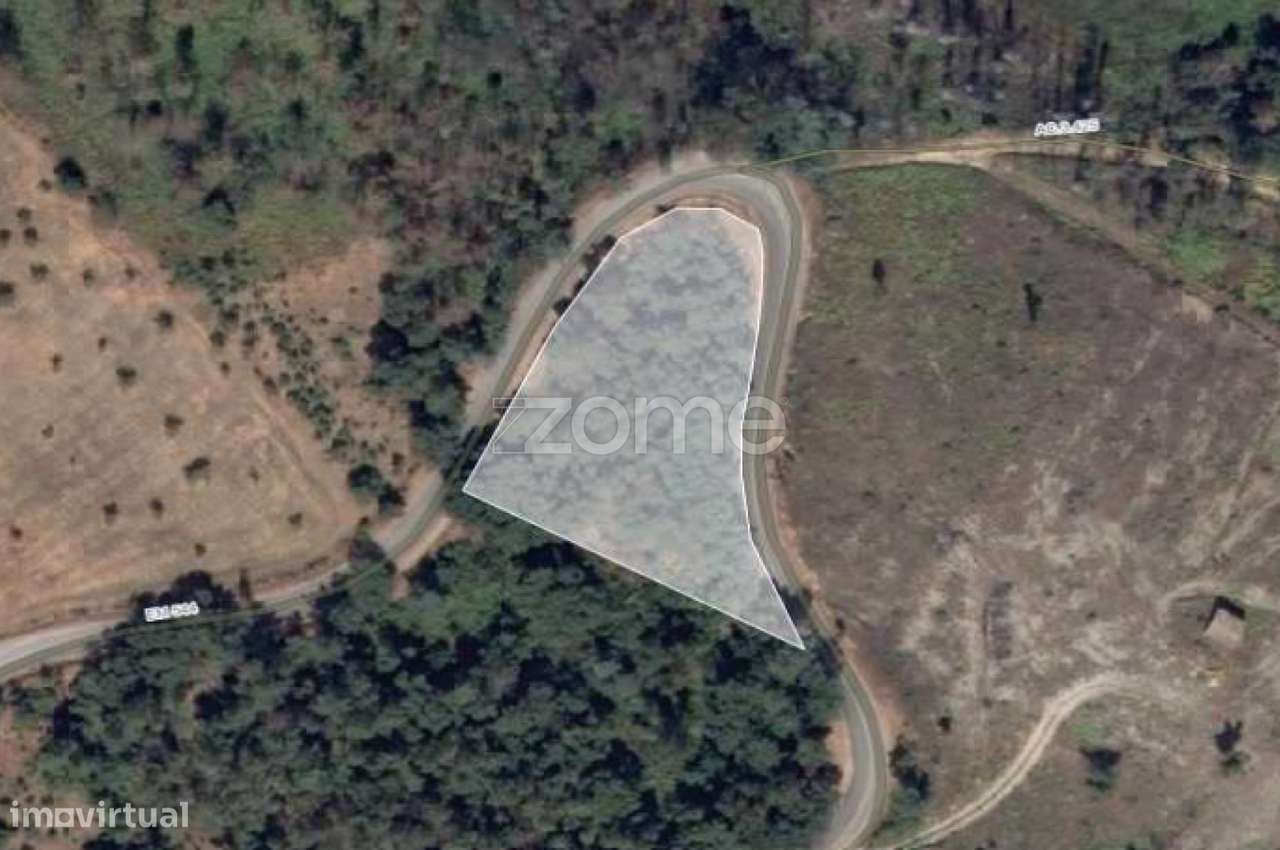 Terreno em Folques, Arganil - Grande imagem: 5/15