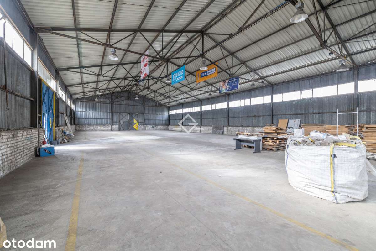 wyposażona hala| wysoki sufit|regały|parking| s7 - Pełny obrazek: 5/10