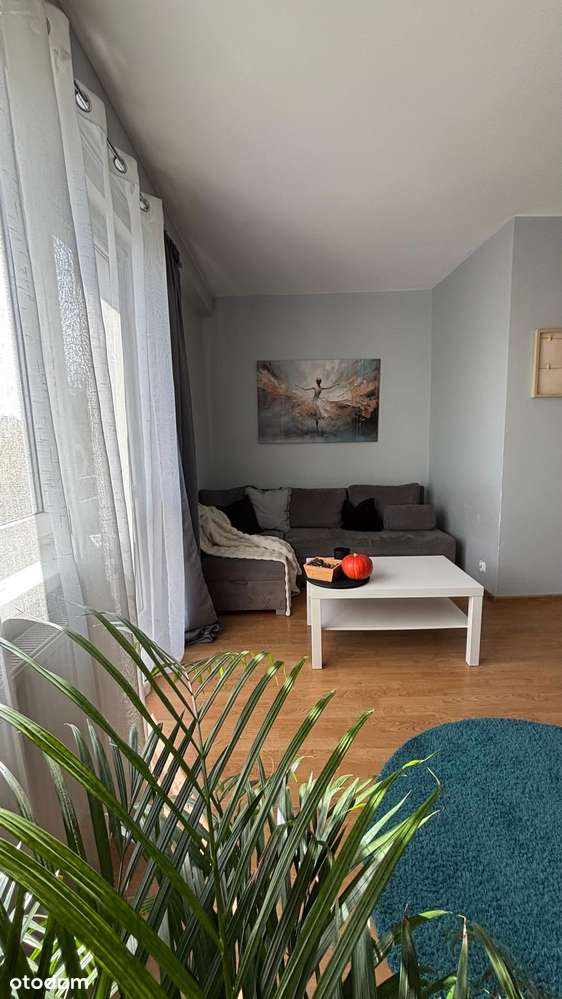 KAWALERKA | 31,50 M²| CENTRUM GRYFINA | UMEBLOWANIE W CENIE-2