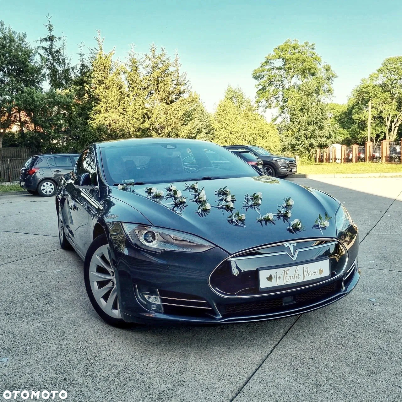 Tesla Model S Long Range Plus - 2