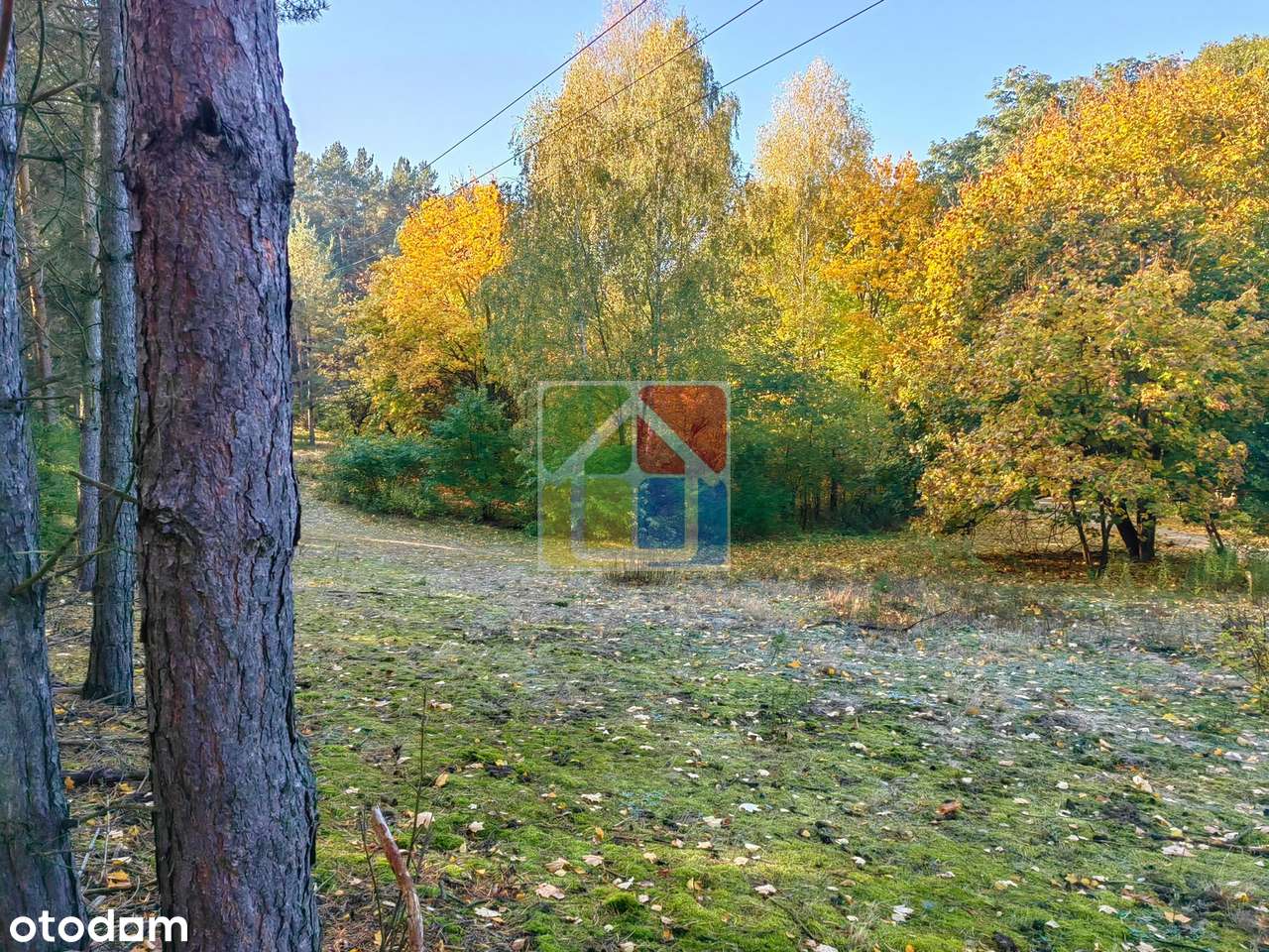 Działka pod zabudowę 30 metrów od linii brzegowej jeziora Sumino-2