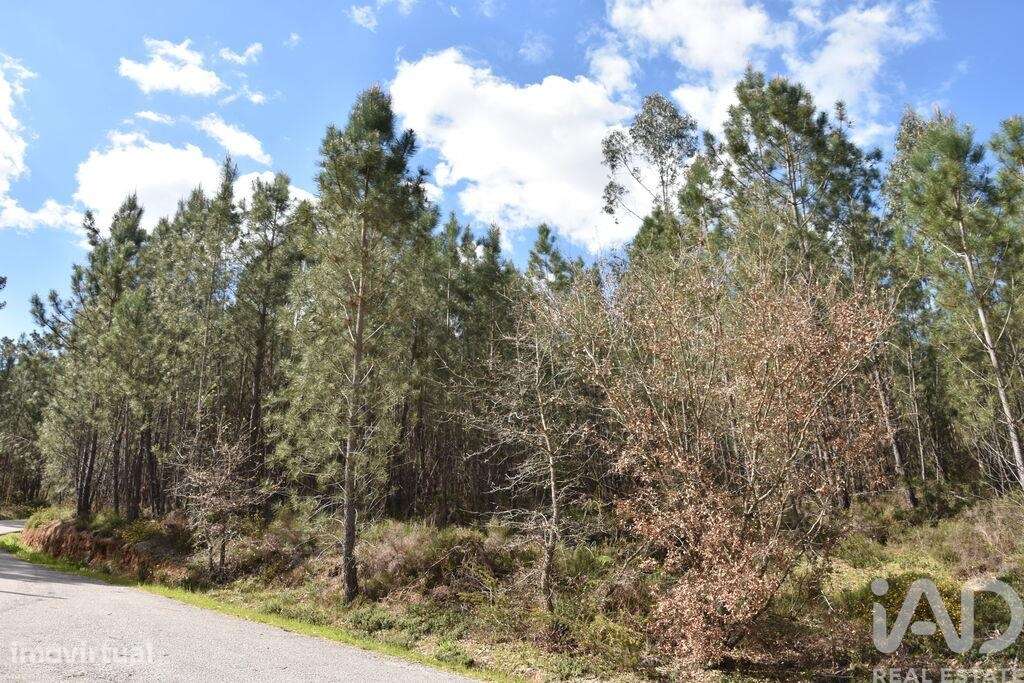 Terreno em Rio de Couros e Casal dos Bernardos de 3487,00 m2 - Grande imagem: 4/18