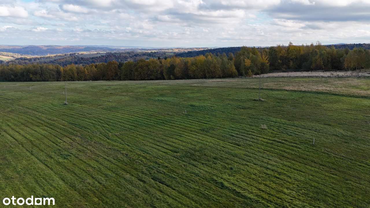 Widokowa działka w Sołonce z WARUNKAMI ZABUDOWY - 19 ar - Pełny obrazek: 4/11