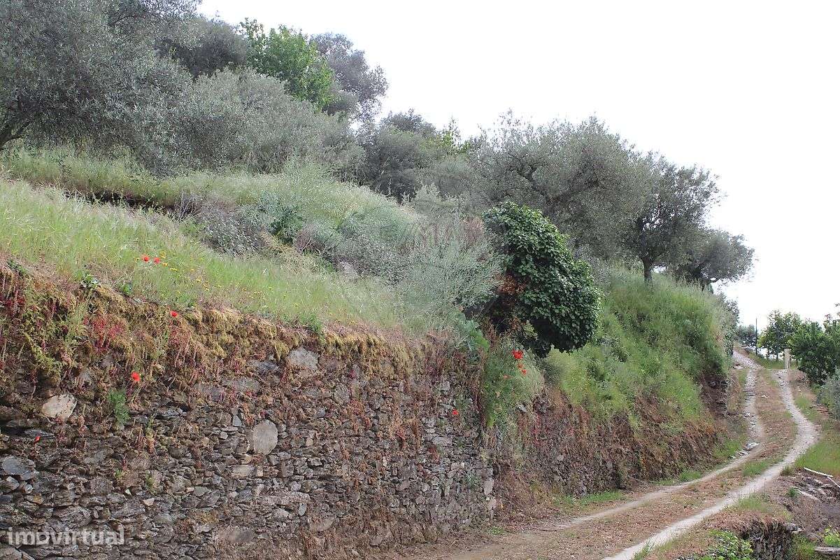 Terreno  para venda - Grande imagem: 5/10