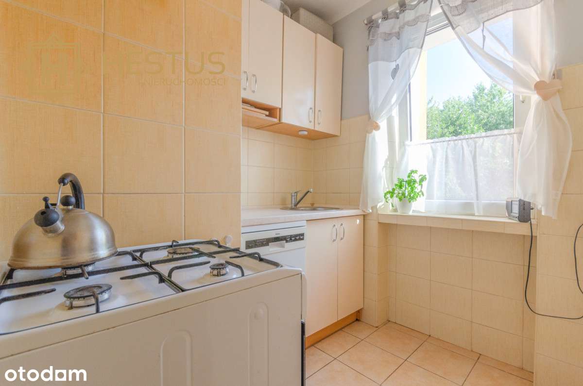 rezerwacja- mieszkanie 3 pokoje do odświeżenia - Pełny obrazek: 2/7