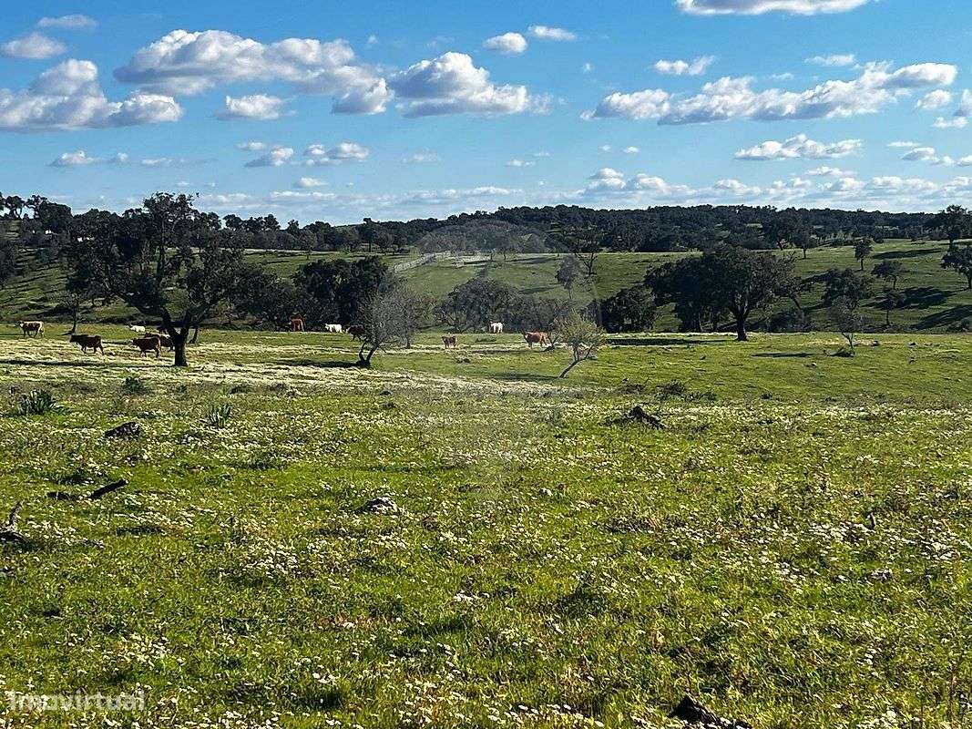 Terreno  para venda - Grande imagem: 4/7