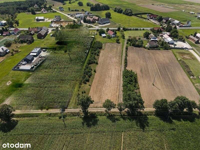 Działka W Zaciszu Z Potencjałem - Pełny obrazek: 4/13