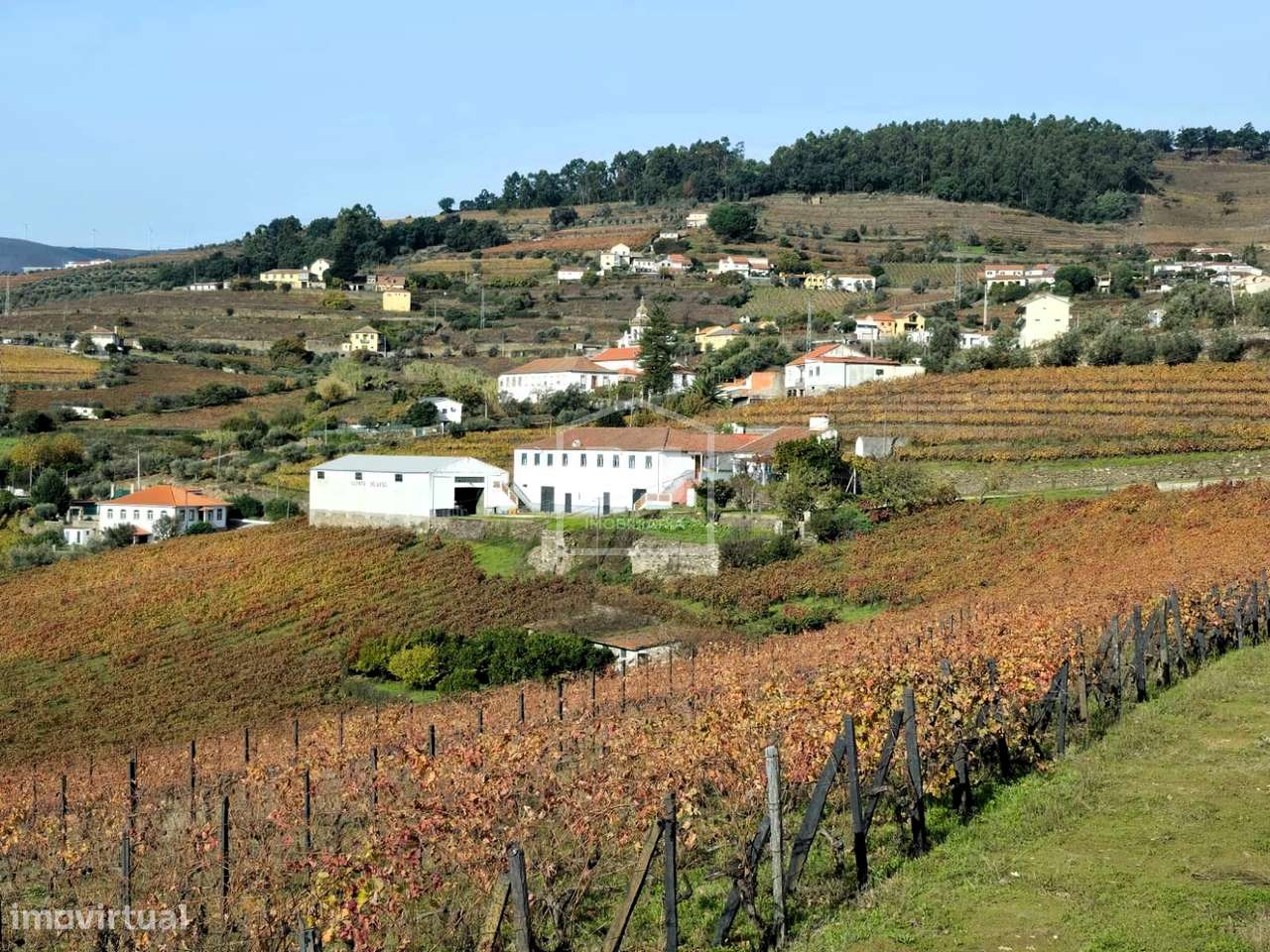 Quinta T4 Venda em Fontelas,Peso da Régua-1
