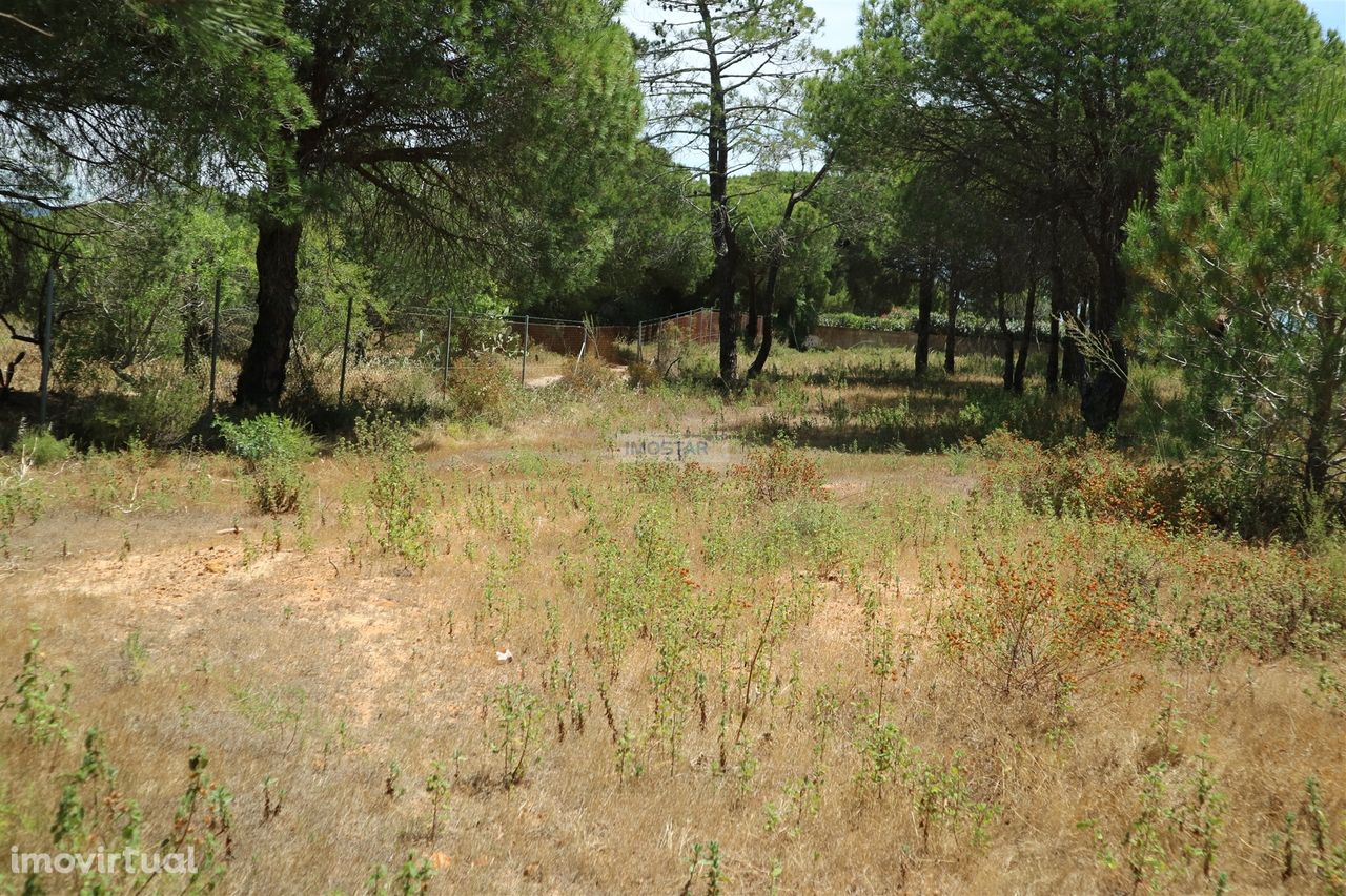 Terreno rústico - Almancil (Quinta do Lago)