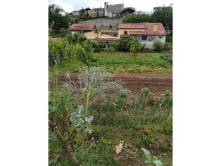 Terreno para construção na Borralha (Concelho de Águeda -...