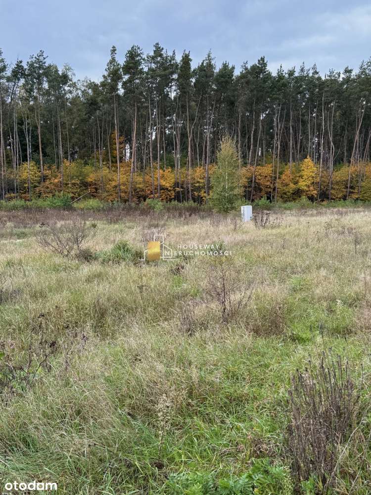 Działki w malowniczym sąsiedztwie lasów - Pełny obrazek: 4/5