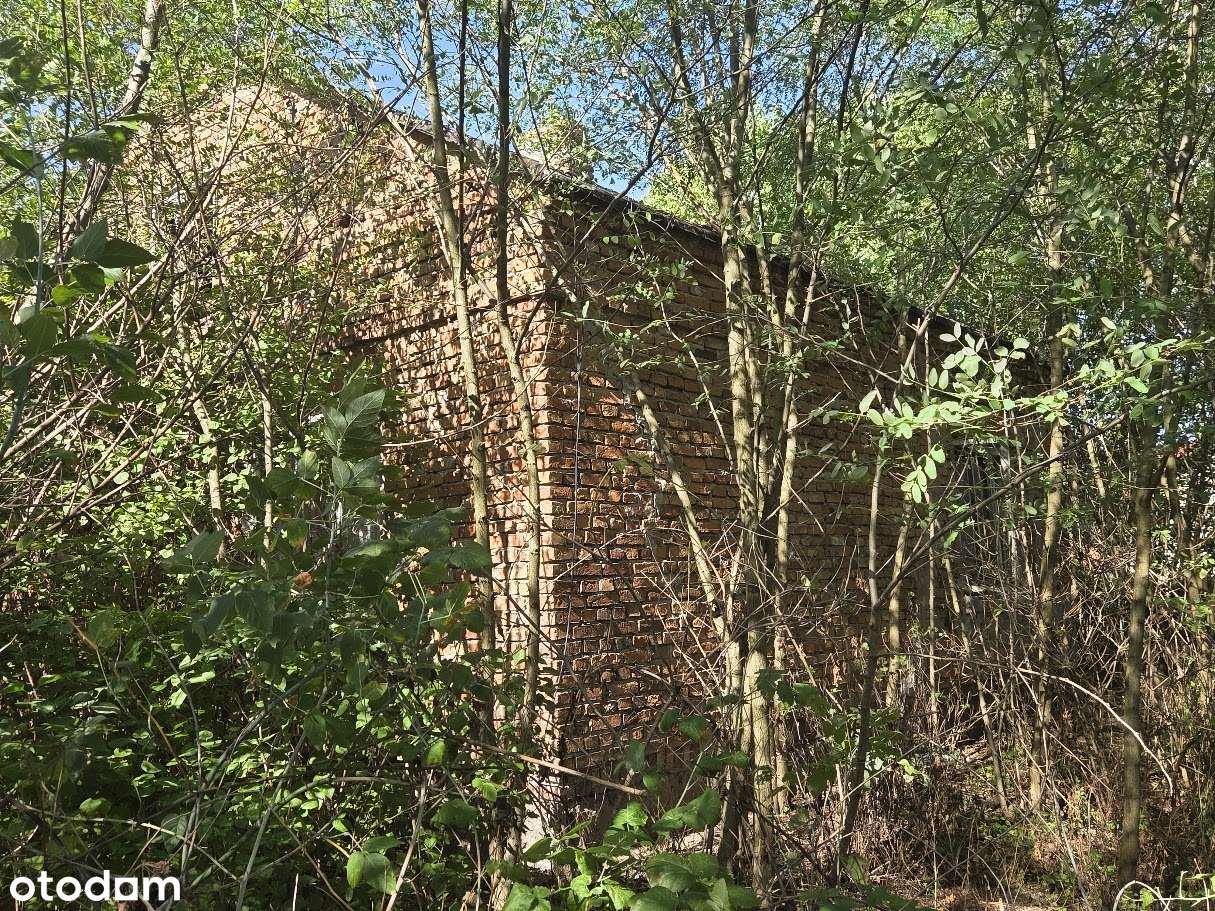 Działka 5500 m2  z domem do rozbiórki z czerwonej cegły-5