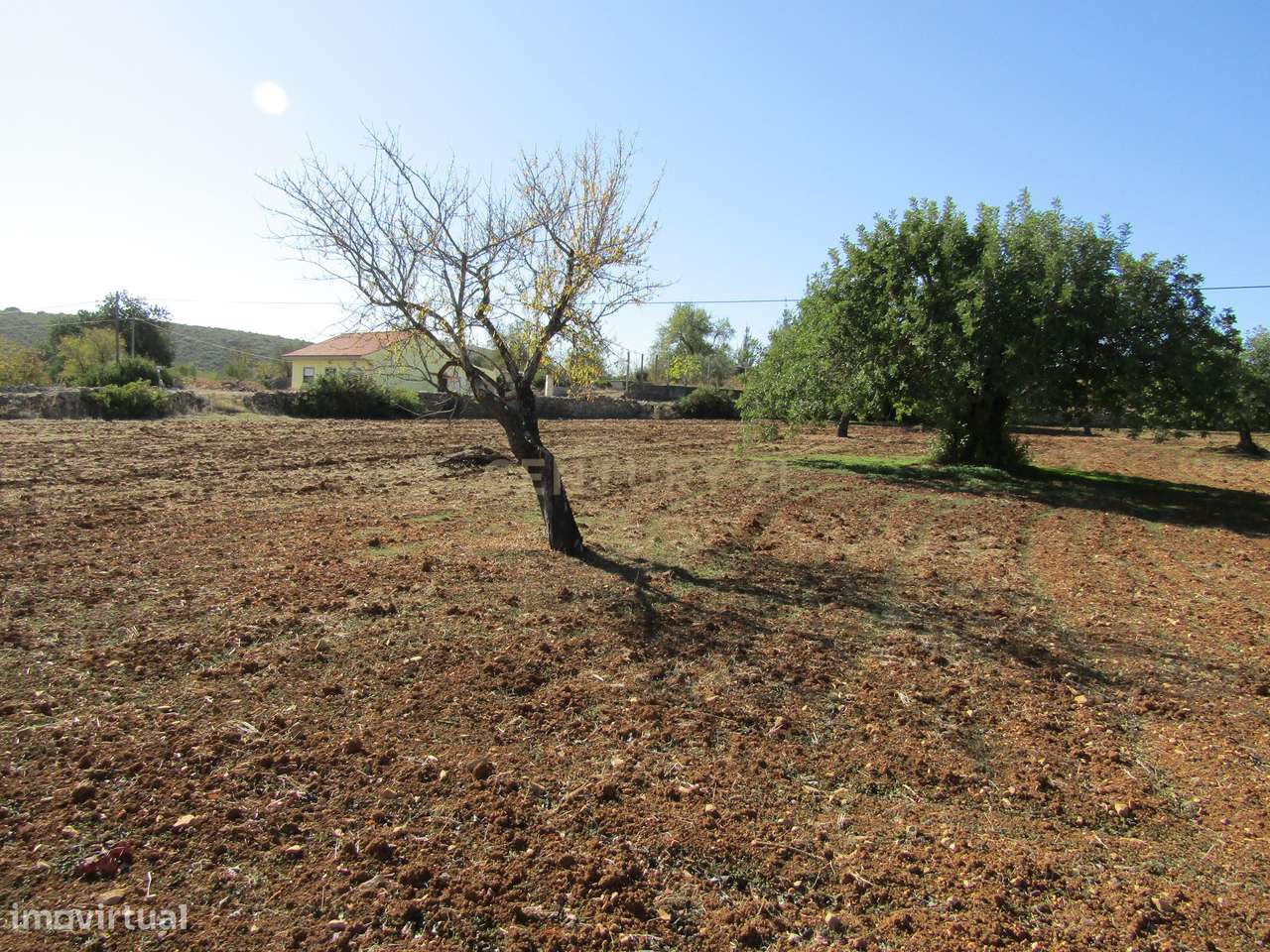 Terreno Rústico em São Brás de Alportel - Grande imagem: 3/7