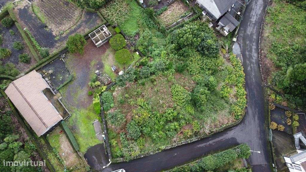 Terreno Lindo no Pico ( Baixa da Ribeirinha) - Grande imagem: 5/16