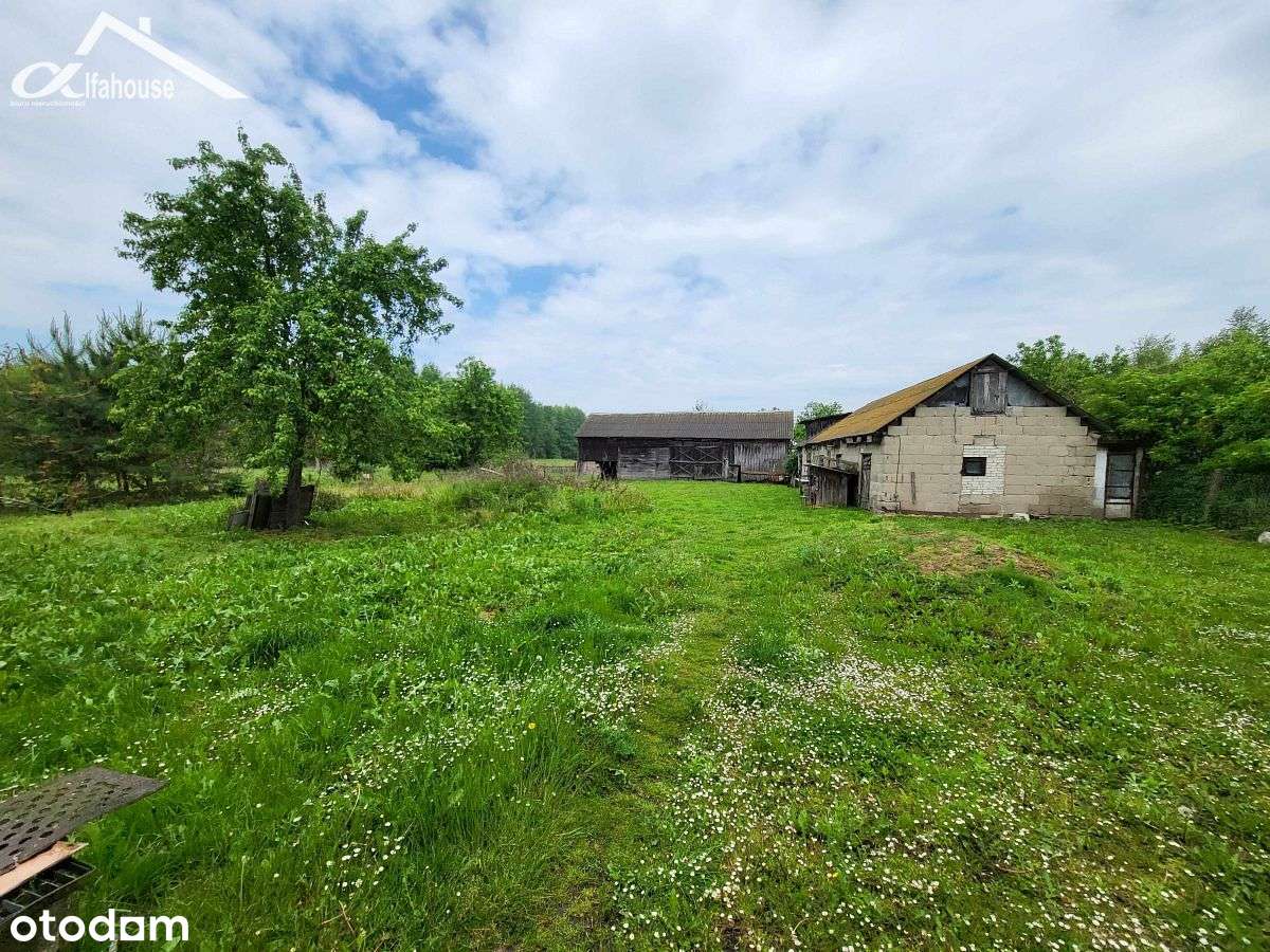 DOM z dużą działką  - Karolinów, gm Ruda-Huta - Pełny obrazek: 5/12