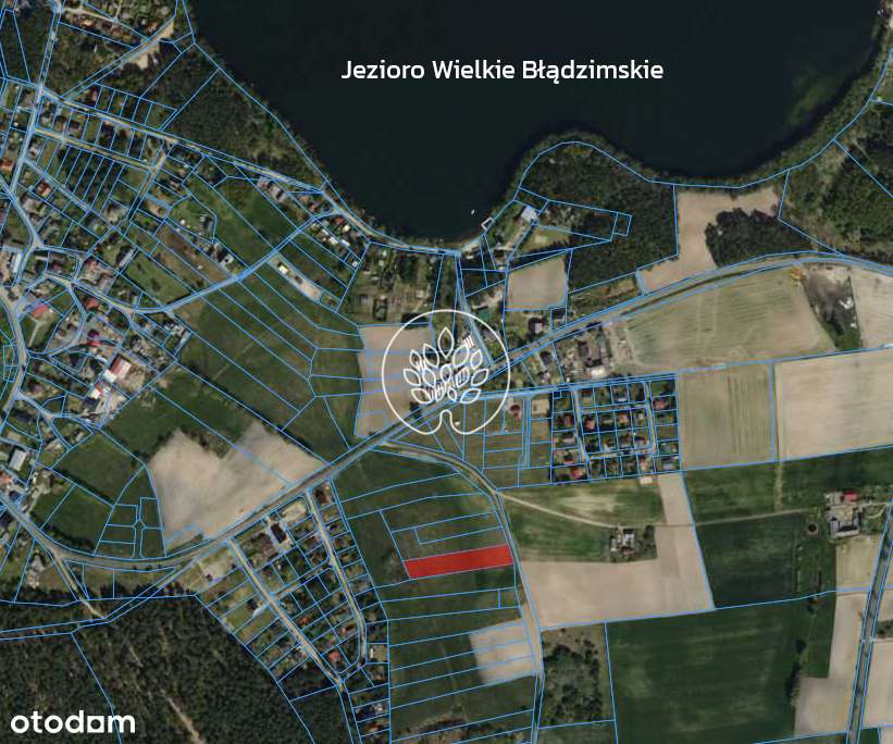 Błądzim. 400 m od brzegu jeziora. - Pełny obrazek: 2/5