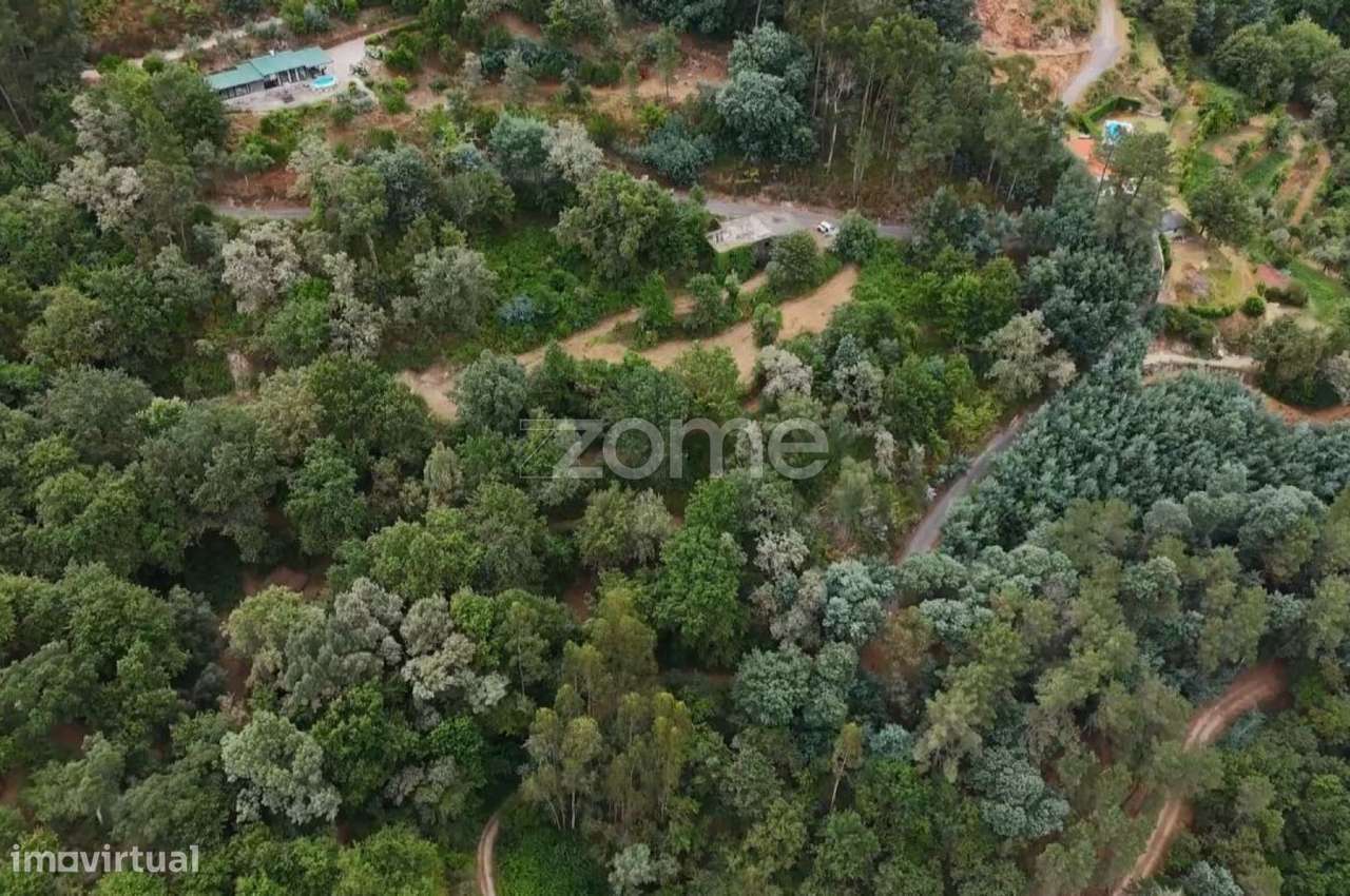 Terreno à Venda - Gerês - Grande imagem: 2/2