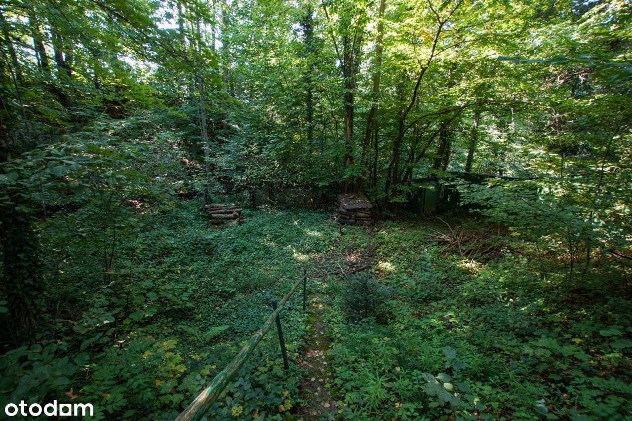 Wiśniowa dom letniskowy w górach, las,strumyk, 53a-12